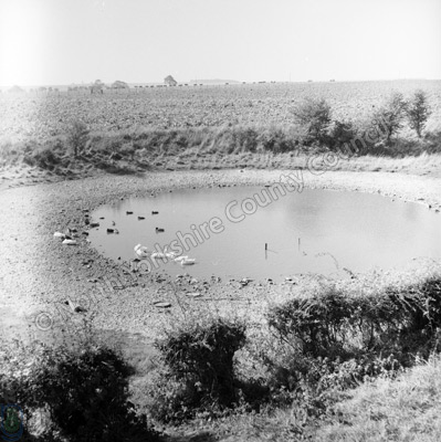 Dew Pond, Sledmere